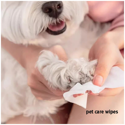 80 Large Pack Cleaning  Cats Dog Wet Wipes No Wash Deodorizing No Fragrance Universal