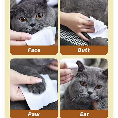 Pet Dog And Cat Wipes Disposable No Wash Cleaning / Cleansing Wipes For Cats