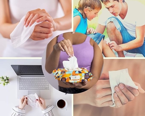 Adults Cleaning Antibacterial Wet Wipes Soft Skin Friendly Family Size